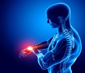 The Fascinating Facets of the Human Body